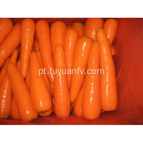 Deliciosas cenouras frescas 150-200G
